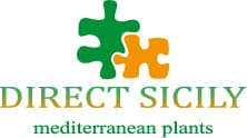 Direct Sicily