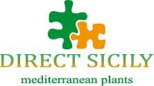 Direct Sicily logo